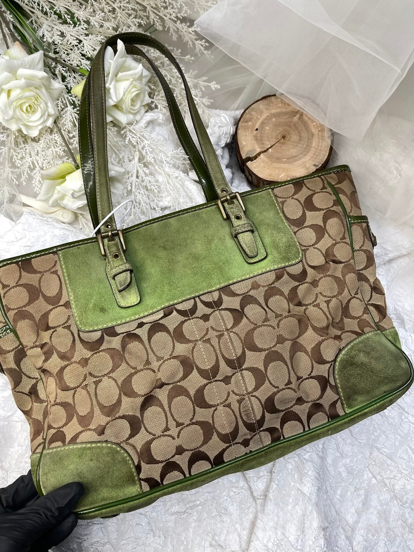Coach Signature C East/West Gallery Tote