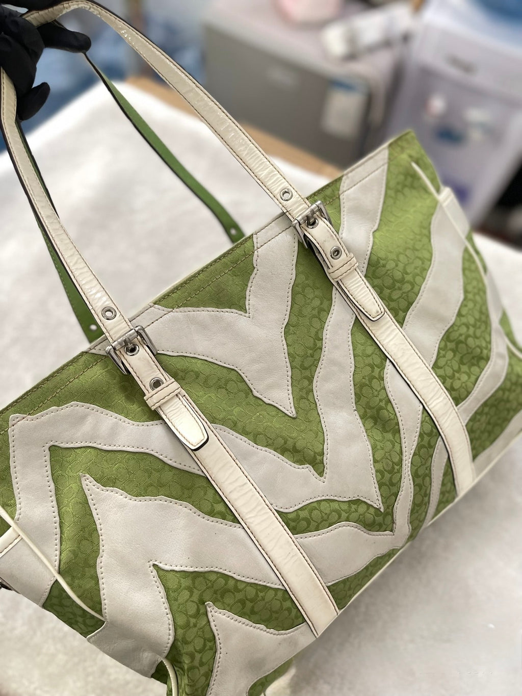 Coach Signature Chevron Zebra Canvas Tote (Green/White)