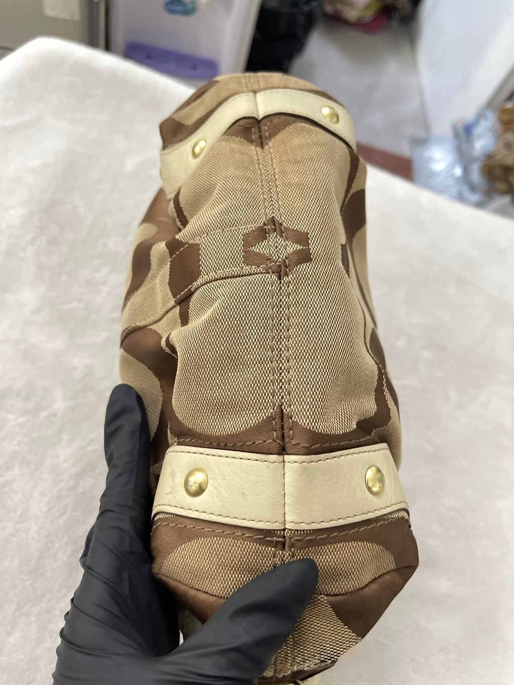 Coach Signature Carly Hobo Bag