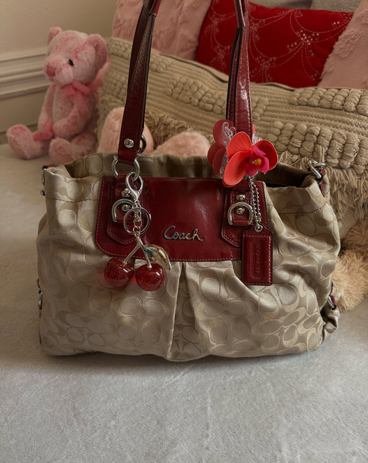 Coach 2011 Ashley Signature Brown and Red Bag