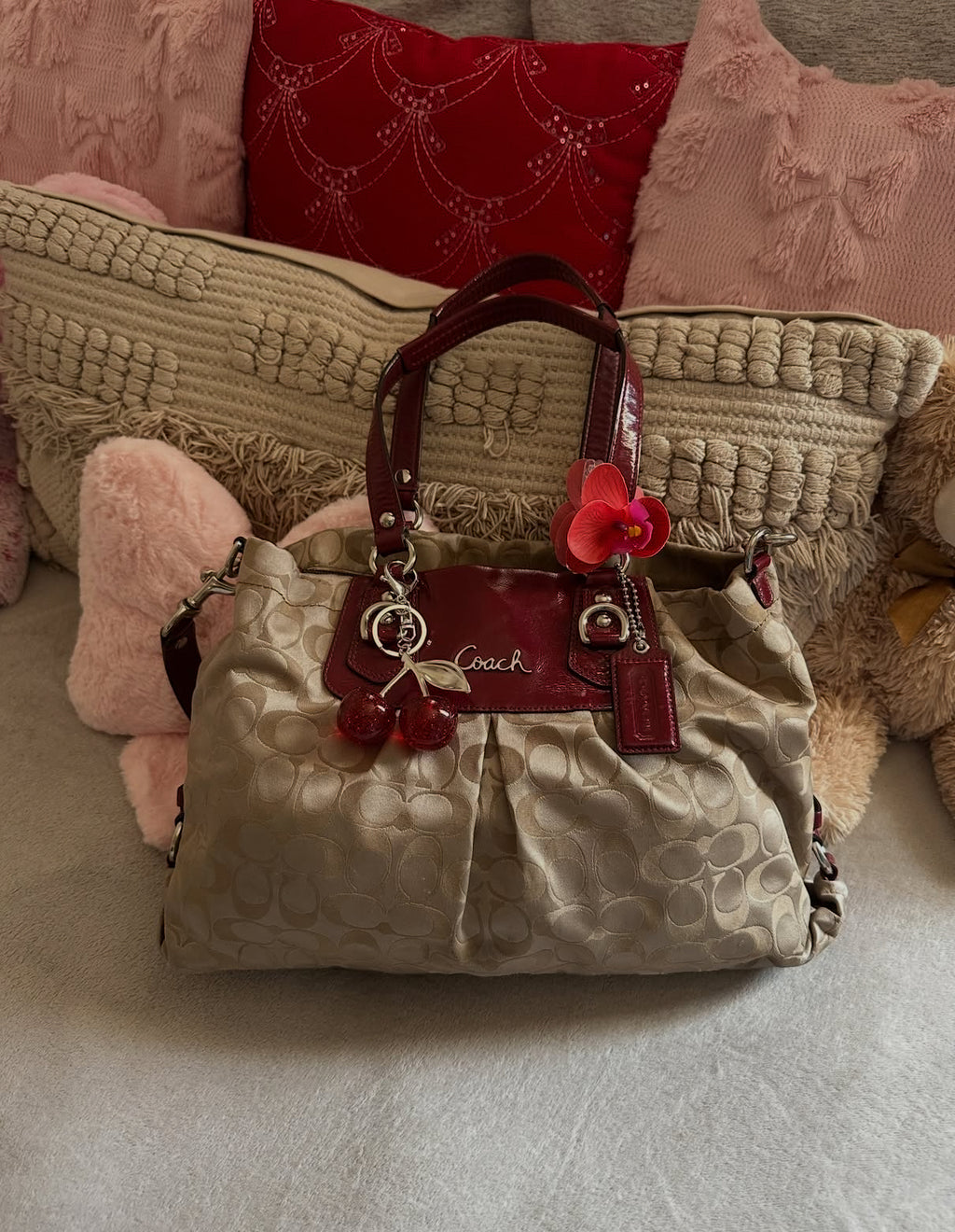 Coach 2011 Ashley Signature Brown and Red Bag